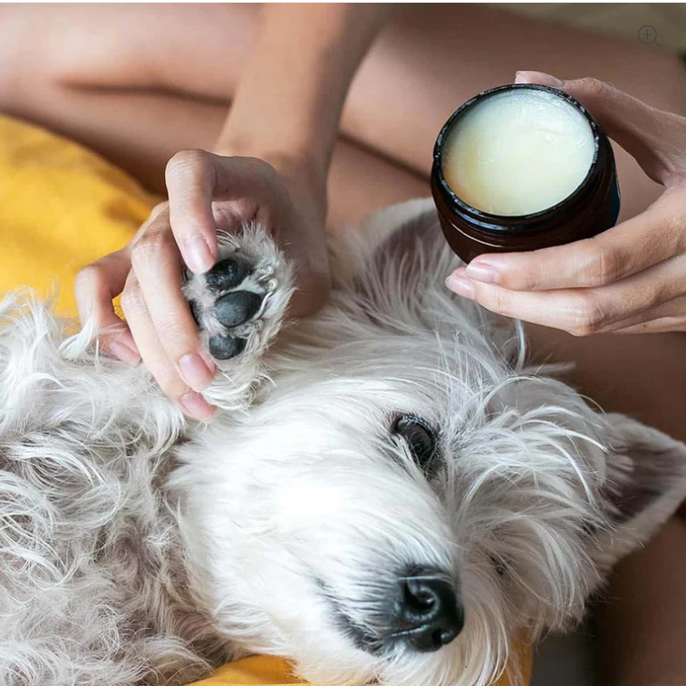 Natural Nose and Paw Balm for Dogs