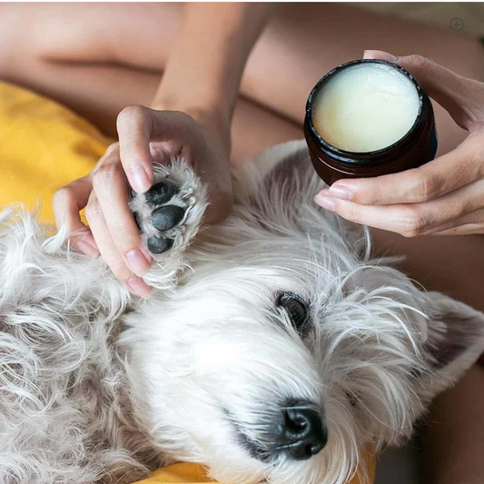 Natural Nose and Paw Balm for Dogs